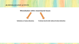 Mineralization within mesenchymal tissues
Initiation of mineralization Calcium hydroxide induced mineralization
(B) MINERALIZATION ACTIVITY
 