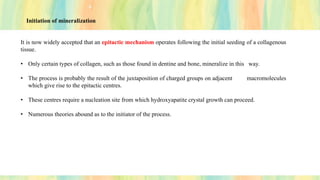 It is now widely accepted that an epitactic mechanism operates following the initial seeding of a collagenous
tissue.
• Only certain types of collagen, such as those found in dentine and bone, mineralize in this way.
• The process is probably the result of the juxtaposition of charged groups on adjacent macromolecules
which give rise to the epitactic centres.
• These centres require a nucleation site from which hydroxyapatite crystal growth can proceed.
• Numerous theories abound as to the initiator of the process.
Initiation of mineralization
 