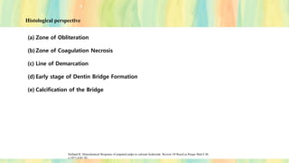 Histological perspective
Holland R. Histochemical Response of amputed pulps to calcium hydroxide. Review Of BrasıLia Pesqui Med E Bi
o 1971;4:83–95.
(a) Zone of Obliteration
(b) Zone of Coagulation Necrosis
(c) Line of Demarcation
(d) Early stage of Dentin Bridge Formation
(e) Calcification of the Bridge
 
