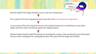 With this high Ph CH, bridge formation occurs at the line of demarcation
Over a period of time the coaguated necrotic tissue above the line of demarcation degenerates
In case of lower PH such as dycal the necrotic zone similarly formed, but is resorbed prior to the dentin
bridge which then forms to be directly against the capping material.
Dentinal bridge formed by high PH materials are histologically similar to those produced by lower PH materia
l but are easier to distinguish on a radiograph because of the space B/W the bridge and Ca(OH)2
 