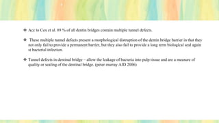 ❖ Acc to Cox et al. 89 % of all dentin bridges contain multiple tunnel defects.
❖ These multiple tunnel defects present a morphological distruption of the dentin bridge barrier in that they
not only fail to provide a permanent barrier, but they also fail to provide a long term biological seal again
st bacterial infection.
❖ Tunnel defects in dentinal bridge – allow the leakage of bacteria into pulp tissue and are a measure of
quality or sealing of the dentinal bridge. (peter murray AJD 2006)
 