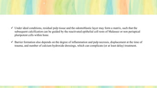 ✓ Under ideal conditions, residual pulp tissue and the odontoblastic layer may form a matrix, such that the
subsequent calcification can be guided by the reactivated epithelial cell rests of Malassez or non periapical
pluripotent cells within bone.
✓ Barrier formation also depends on the degree of inflammation and pulp necrosis, displacement at the time of
trauma, and number of calcium hydroxide dressings, which can complicate (or at least delay) treatment.
 