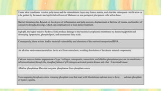 Under ideal conditions, residual pulp tissue and the odontoblastic layer may form a matrix, such that the subsequent calcification ca
n be guided by the reactivated epithelial cell rests of Malassez or non periapical pluripotent cells within bone.
Barrier formation also depends on the degree of inflammation and pulp necrosis, displacement at the time of trauma, and number of
calcium hydroxide dressings, which can complicate (or at least delay) treatment.
high pH, the highly reactive hydroxyl ions produce damage to the bacterial cytoplasmic membrane by denaturing protein and
destroying lipoproteins, phospholipids, and unsaturated fatty acids.
Consequently, these actions lead to bacterial vulnerability and alteration of the nutrient transport and DNA.
An alkaline environment neutralizes lactic acid from osteoclasts, avoiding dissolution of the dentin mineral components.
Calcium ions can induce expressions of type I collagen, osteopontin, osteocalcin, and alkaline phosphatase enzyme in osteoblasts a
nd mineralization through the phosphorylation of p38 mitogen-activated protein kinase and cJun N-terminal kinase
Alkaline phosphatase liberates inorganic phosphatase from phosphate esters.
It can separate phosphoric esters, releasing phosphate ions that react with bloodstream calcium ions to form calcium phosphate
of hydroxyapatite.
 