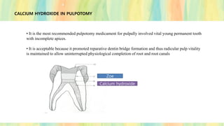 CALCIUM HYDROXIDE IN PULPOTOMY
• It is the most recommended pulpotomy medicament for pulpally involved vital young permanent tooth
with incomplete apices.
• It is acceptable because it promoted reparative dentin bridge formation and thus radicular pulp vitality
is maintained to allow uninterrupted physiological completion of root and root canals
Calcium hydroxide
Zoe
 