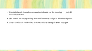 • Histologically pulp tissue adjacent to calcium hydroxide was first necrotized →high pH
of calcium hydroxide.
• This necrosis was accompanied by the acute inflammatory changes in the underlying tissue.
• After 4 weeks a new odontoblastic layer and eventually a bridge of dentin developed.
 