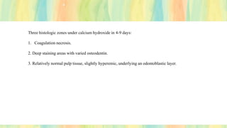 Three histologic zones under calcium hydroxide in 4-9 days:
1. Coagulation necrosis.
2. Deep staining areas with varied osteodentin.
3. Relatively normal pulp tissue, slightly hyperemic, underlying an odontoblastic layer.
 
