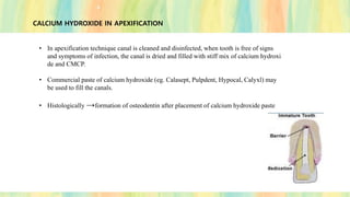 CALCIUM HYDROXIDE IN APEXIFICATION
• In apexification technique canal is cleaned and disinfected, when tooth is free of signs
and symptoms of infection, the canal is dried and filled with stiff mix of calcium hydroxi
de and CMCP.
• Commercial paste of calcium hydroxide (eg. Calasept, Pulpdent, Hypocal, Calyxl) may
be used to fill the canals.
• Histologically →formation of osteodentin after placement of calcium hydroxide paste
 