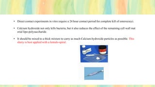 • Direct contact experiments in vitro require a 24 hour contact period for complete kill of enterococci.
• Calcium hydroxide not only kills bacteria, but it also reduces the effect of the remaining cell wall mat
erial lipo-polysaccharide.
• It should be mixed to a thick mixture to carry as much Calcium hydroxide particles as possible. This
slurry is best applied with a lentulo-spiral.
 