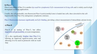 b) Fluo-
4

Fluo-4 (an analog of
fl
uo-3) is another dye used for cytoplasmic Ca2+ measurement in living cells and is widely used in high
throughput screening applications.
 

Usually, the cell-permeable, non-
fl
uorescent Fluo-4 acetoxymethyl ester is loaded into cells, then converted to the cell-
impermeable free Fluo-4 by endogenous cytoplasmic esterases.
 

Fluo-4
fl
uorescence increases signi
fi
cantly on Ca2+ binding, providing a direct measurement of intracellular calcium levels
.

c) Fluo-8
Fluo-8 is an analog of Fluo-3, but offers
improved cell permeability at room temperature
.

It is also signi
fi
cantly brighter than Fluo-3/-4,
offering an improved signal-to-noise ratio and
allowing it to be used in protocols with no wash
step.
 
