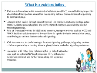 calcium influx assay ppt calcium movments in the cell and viability of ...
