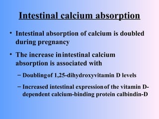 Intestinal calcium absorption
• Intestinal absorption of calcium is doubled
during pregnancy
• The increase inintestinal calcium
absorption is associated with
– Doublingof 1,25-dihydroxyvitamin D levels
– Increased intestinal expressionof the vitamin D-
dependent calcium-binding protein calbindin-D
 
