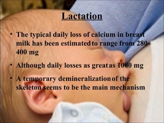 Lactation
• The typical daily loss of calcium in breast
milk has been estimatedto range from 280–
400 mg
• Although daily losses as greatas 1000 mg
• A temporary demineralizationof the
skeleton seems to be the main mechanism
 