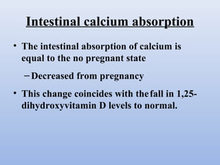Intestinal calcium absorption
• The intestinal absorption of calcium is
equal to the no pregnant state
–Decreased from pregnancy
• This change coincides with thefall in 1,25-
dihydroxyvitamin D levels to normal.
 