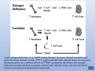   
Acute estrogen deficiency (e.g. GnRH analog therapy) increases skeletal resorption and 
raises the blood calcium; in turn, PTH is suppressed and renal calcium losses are increased. 
During lactation, the combined effects of PTHrP (secreted by the breast) and estrogen 
deficiency increase skeletal resorption, reduce renal calcium losses, and raise the blood 
calcium, but calcium is directed into breast milk.
 