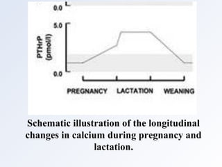 Schematic illustration of the longitudinal
changes in calcium during pregnancy and
lactation.
 