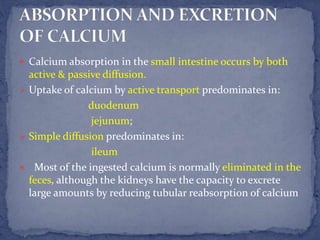 Calcium metabolism | PPT
