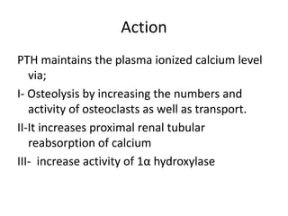 Action
PTH maintains the plasma ionized calcium level
via;
I- Osteolysis by increasing the numbers and
activity of osteoclasts as well as transport.
II-It increases proximal renal tubular
reabsorption of calcium
III- increase activity of 1α hydroxylase
 
