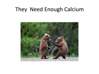 They Need Enough Calcium
 