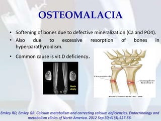 Calcium metabolism | PPTX