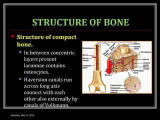 STRUCTURE OF BONE
 Structure of compact
bone.
 In between concentric
layers present
lacunnae contains
osteocytes.
 Haversion canals run
across long axis
connect with each
other also externally by
canals of Volkmann.
Saturday, May 12, 2018
 