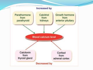 Calcium metabolism and vitamin d deficiency | PPTX
