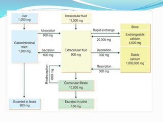 Calcium metabolism and vitamin d deficiency | PPTX