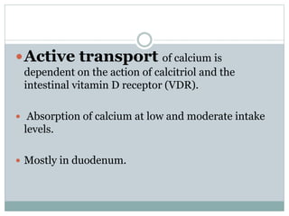 Active transport of calcium is
dependent on the action of calcitriol and the
intestinal vitamin D receptor (VDR).
 Absorption of calcium at low and moderate intake
levels.
 Mostly in duodenum.
 