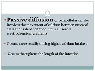 Passive diffusion or paracellular uptake
involves the movement of calcium between mucosal
cells and is dependent on luminal: serosal
electrochemical gradients.
 Occurs more readily during higher calcium intakes.
 Occurs throughout the length of the intestine.
 