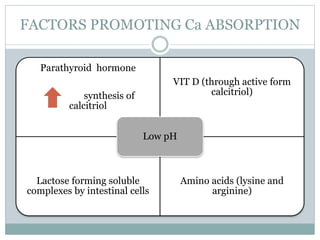 FACTORS PROMOTING Ca ABSORPTION
Parathyroid hormone
synthesis of
calcitriol
VIT D (through active form
calcitriol)
Lactose forming soluble
complexes by intestinal cells
Amino acids (lysine and
arginine)
Low pH
 