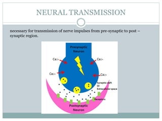 NEURAL TRANSMISSION
necessary for transmission of nerve impulses from pre-synaptic to post –
synaptic region.
 