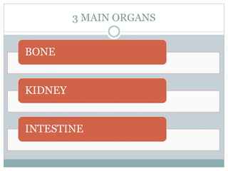 3 MAIN ORGANS
BONE
KIDNEY
INTESTINE
 
