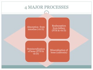 4 MAJOR PROCESSES
Absorption from
intestine (vit D)
Reabsorption
from kidney
(PTH & vit D)
Demineralization
of bone (PTH &
vit D)
Mineralization of
bone (calitonin)
 