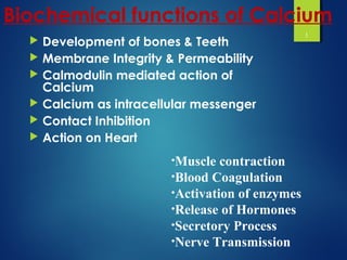 Biochemical functions of Calcium
 Development of bones & Teeth
 Membrane Integrity & Permeability
 Calmodulin mediated action of
Calcium
 Calcium as intracellular messenger
 Contact Inhibition
 Action on Heart
1
•Muscle contraction
•Blood Coagulation
•Activation of enzymes
•Release of Hormones
•Secretory Process
•Nerve Transmission
 
