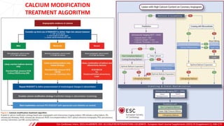 Circ Cardiovasc Interv. 2021;14:e009870. DOI: 10.1161/CIRCINTERVENTIONS.120.009870 - European Heart Journal Supplements (2023) 25 (Supplement C), C68–C73
B
CALCIUM MODIFICATION
TREATMENT ALGORITHM
 
