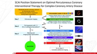 Catheter Cardiovasc Interv. 2020;doi:10.1002/ccd.28994
B
 