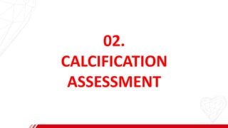 02.
CALCIFICATION
ASSESSMENT
 