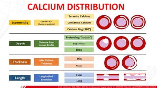 CALCIUM DISTRIBUTION
Front. Cardiovasc. Med., 06 April 2023. Sec. Cardiovascular Imaging. Volume 10 – 2023. DOI: https://doi.org/10.3389/fcvm.2023.1133510
A
B
 
