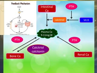 Plasma Ca
9-11mg/dl
Intestinal
Ca
Bone Ca Renal Ca
Calcitriol
calcitonin
PTH PTH
calcitriol Vit D
PTH
 