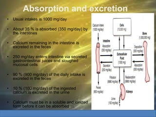 Absorption and excretion
• Usual intakes is 1000 mg/day
• About 35 % is absorbed (350 mg/day) by
the intestines
• Calcium remaining in the intestine is
excreted in the feces
• 250 mg/day enters intestine via secreted
gastrointestinal juices and sloughed
mucosal cells
• 90 % (900 mg/day) of the daily intake is
excreted in the feces
• 10 % (100 mg/day) of the ingested
calcium is excreted in the urine
• Calcium must be in a soluble and ionized
form before it can be absorbed
 