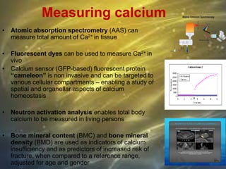 Measuring calcium
• Atomic absorption spectrometry (AAS) can
measure total amount of Ca2+ in tissue
• Fluorescent dyes can be used to measure Ca2+ in
vivo
• Calcium sensor (GFP-based) fluorescent protein
“cameleon” is non invasive and can be targeted to
various cellular compartments – enabling a study of
spatial and organellar aspects of calcium
homeostasis
• Neutron activation analysis enables total body
calcium to be measured in living persons
• Bone mineral content (BMC) and bone mineral
density (BMD) are used as indicators of calcium
insufficiency and as predictors of increased risk of
fracture, when compared to a reference range,
adjusted for age and gender
 