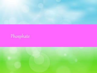 Phosphate
 