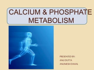 CALCIUM & PHOSPHATE
METABOLISM
PRESENTED BY:
ANU DUTTA
ANUMESH DAHAL
 