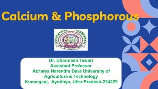 Calcium & Phosphorous
Dr. Dharmesh Tewari
Assistant Professor
Acharya Narendra Deva University of
Agriculture & Technology
Kumarganj, Ayodhya, Uttar Pradesh-224229
 