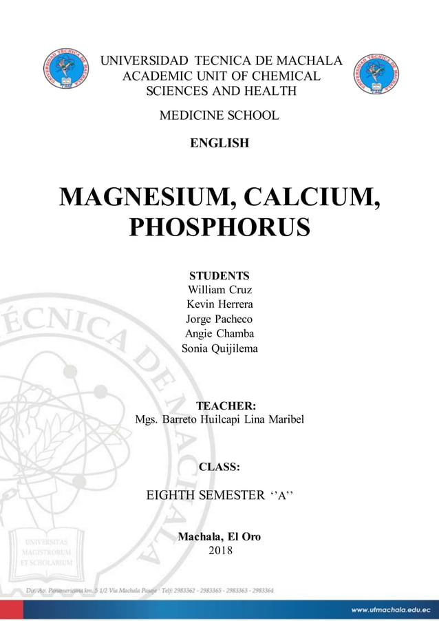 Calcium, phosphorus, magnesium algorithm PDF