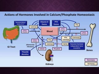 Calcium & phosphorus metabolism and its applied aspects | PPTX