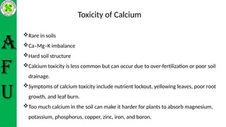 Essential plant nutrient Calcium ppt.pptx