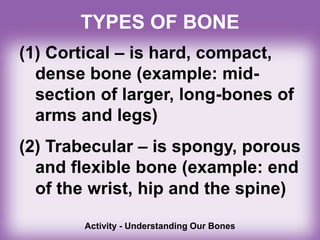 TYPES OF BONE
(1) Cortical – is hard, compact,
dense bone (example: mid-
section of larger, long-bones of
arms and legs)
(2) Trabecular – is spongy, porous
and flexible bone (example: end
of the wrist, hip and the spine)
Activity - Understanding Our Bones
 