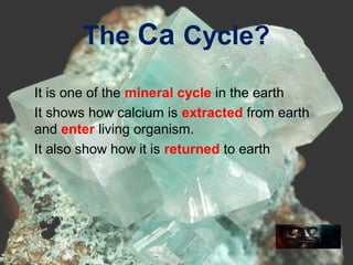 The Ca Cycle?
•
It is one of the mineral cycle in the earth
•
It shows how calcium is extracted from earth
and enter living organism.
•
It also show how it is returned to earth
 