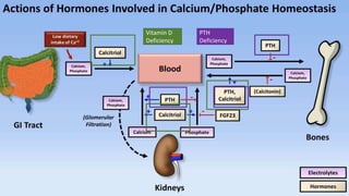 Vitamin D
Deficiency
PTH
Deficiency
 
