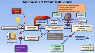 Function of 1a hydroxylase
Chronic kidney disease
Hyperphosphatemia
Vit. D dependent rickets, type 1
Poor Dietary
Intake
Calcitriol
Resistance Vit. D
resistant rickets
 